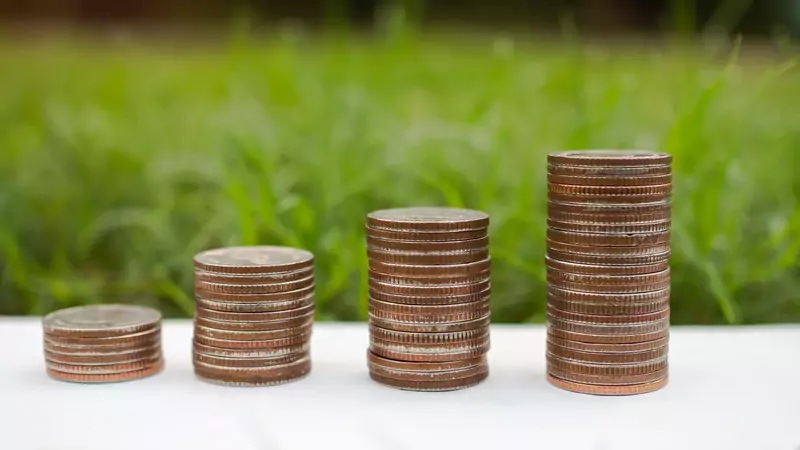 stacked-coins-showing-increasing-income-on-natural-background